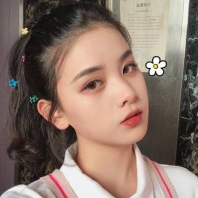 苍茫之境九游客户端下载